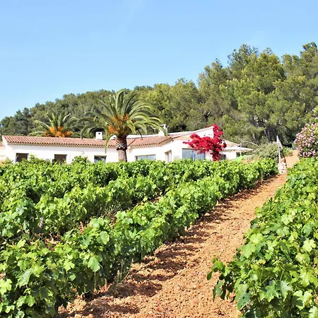 Le Domaine Des Vignes-spacieuse Villa/piscine * Hyeres